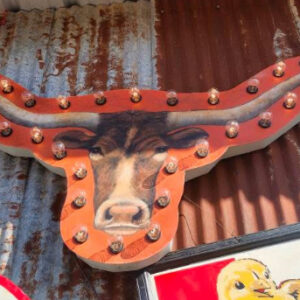 Texas Longhorn Sign