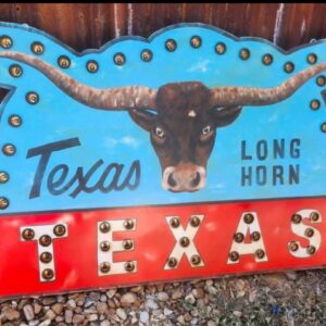 Texas Longhorn Texas Sign